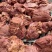 精品河北驴肉熟驴肉可真空包装全国发货欢迎联系