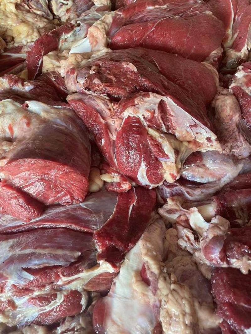 河北精品驴肉生驴肉产地直发品质保证一手货源