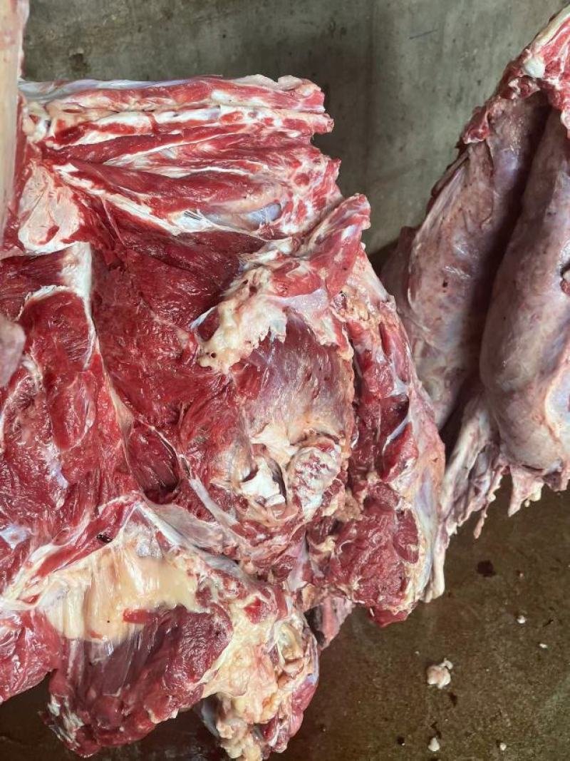 河北鲜驴肉驴肉品质保证一手货源量大从优品质保证
