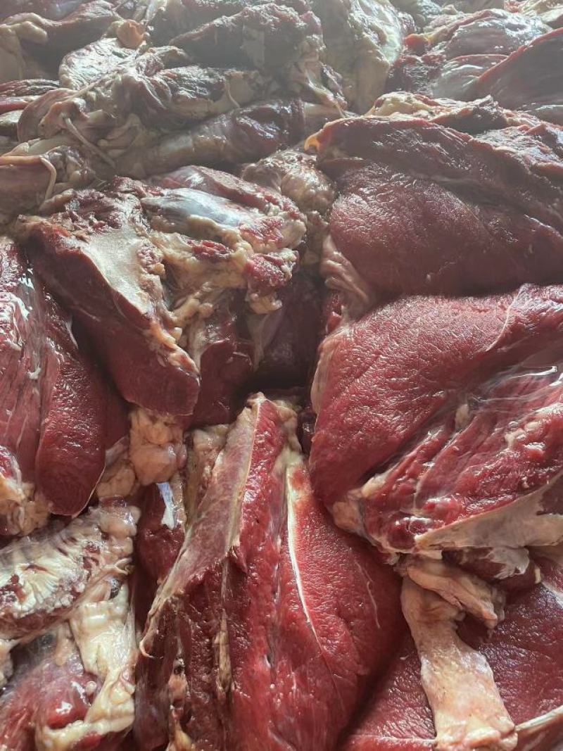 河北鲜驴肉驴肉品质保证一手货源量大从优品质保证