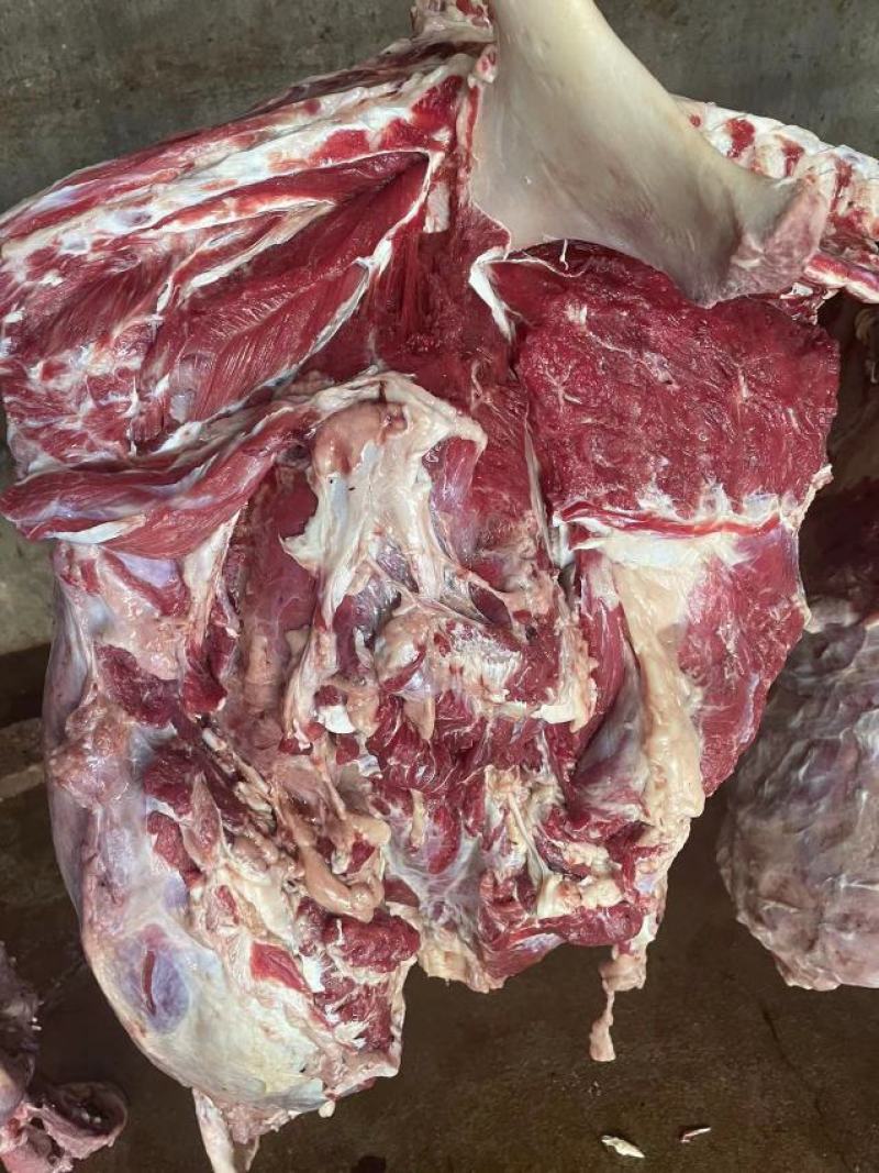 河北鲜驴肉驴肉品质保证一手货源量大从优品质保证