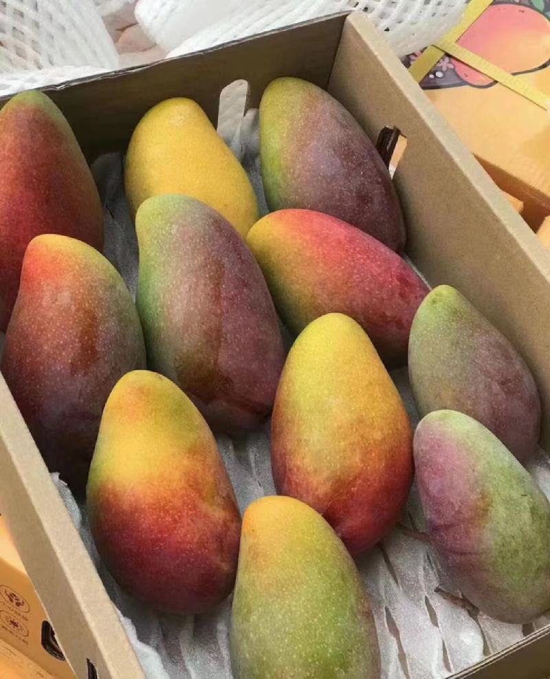 海南贵妃芒芒果产地直发品质保证一手货源量大从优