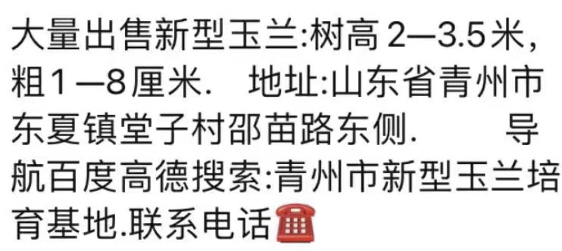 大家好我是山东青州的玉兰苗木种植户，需要的老板联系