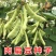 农之子早生肉扁三号肉扁豆种子，10克