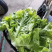 永年区意大利生菜，优质生菜大量供应品质好价格优，量大优惠