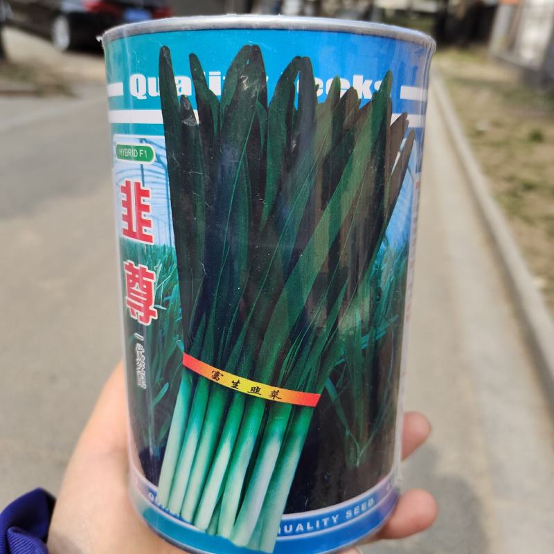富生韭尊韭菜种籽高产耐热抗寒四季不休眠韭菜籽大田基地种子