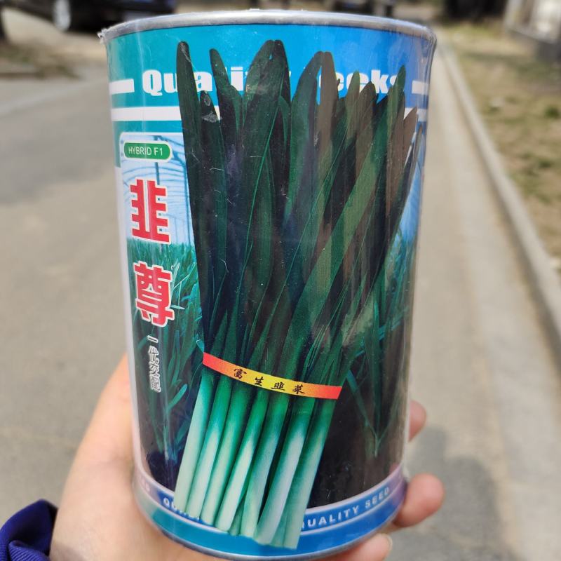 富生韭尊韭菜种籽高产耐热抗寒四季不休眠韭菜籽大田基地种子
