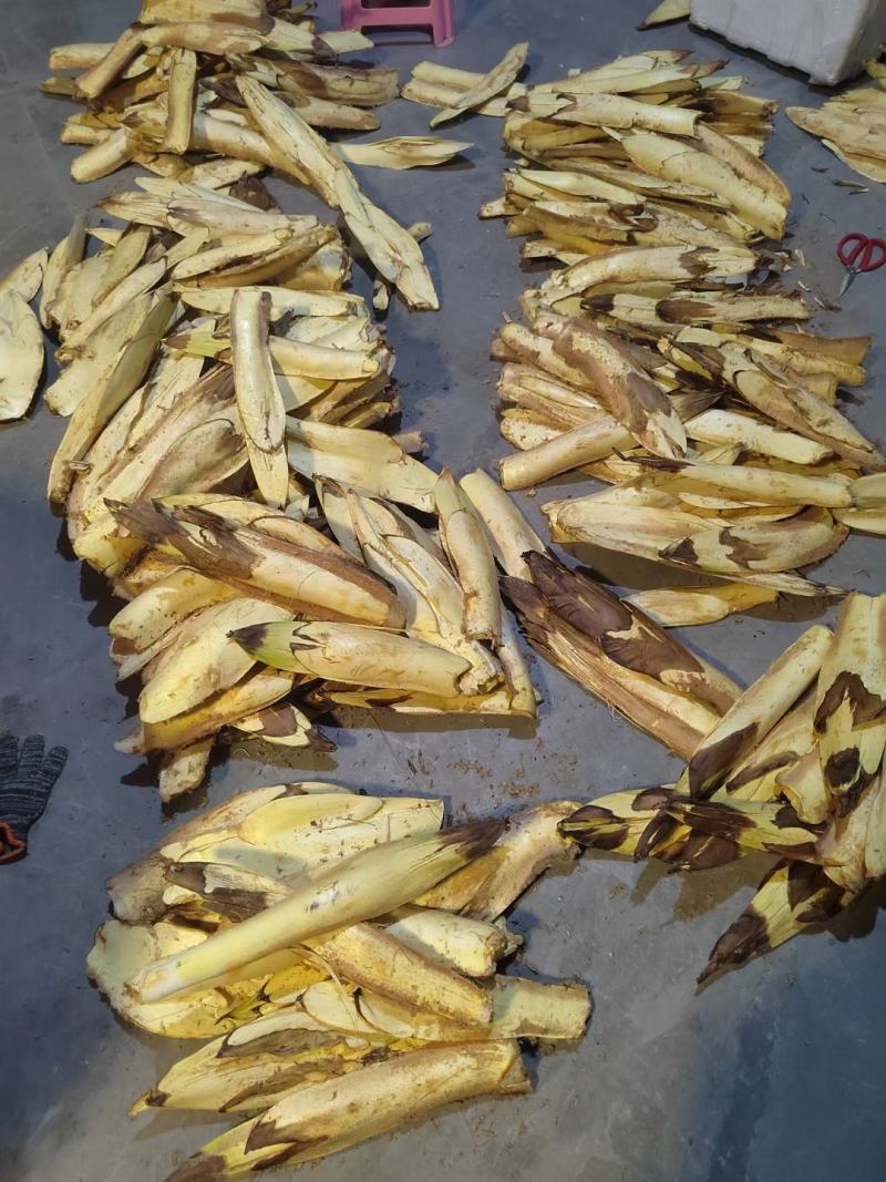 【推荐】温州文成县棕包质量保证诚信经营棕笋棕心笋干