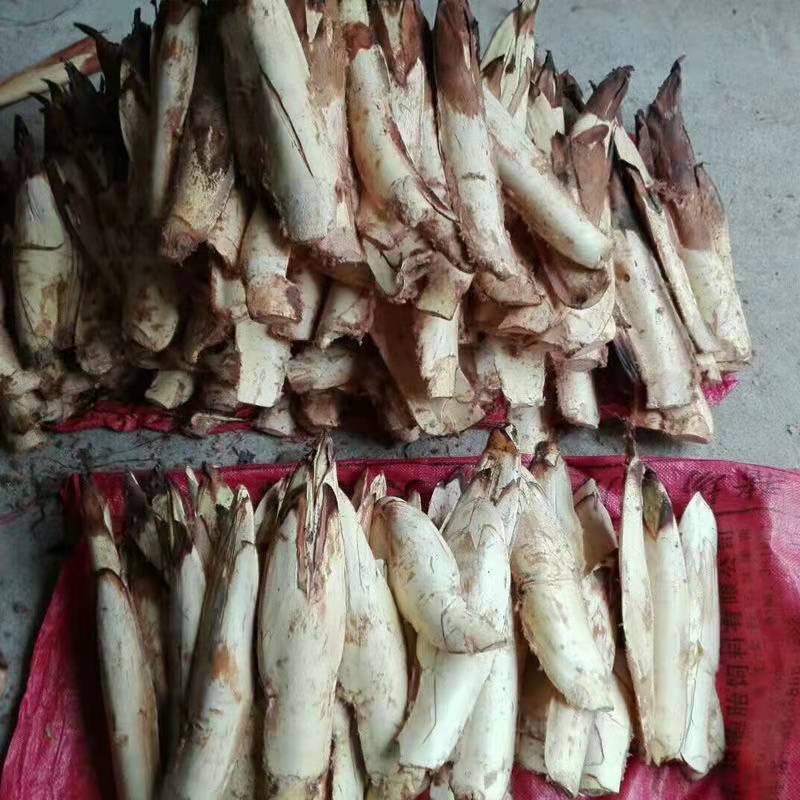【推荐】温州文成县棕包质量保证诚信经营棕笋棕心笋干