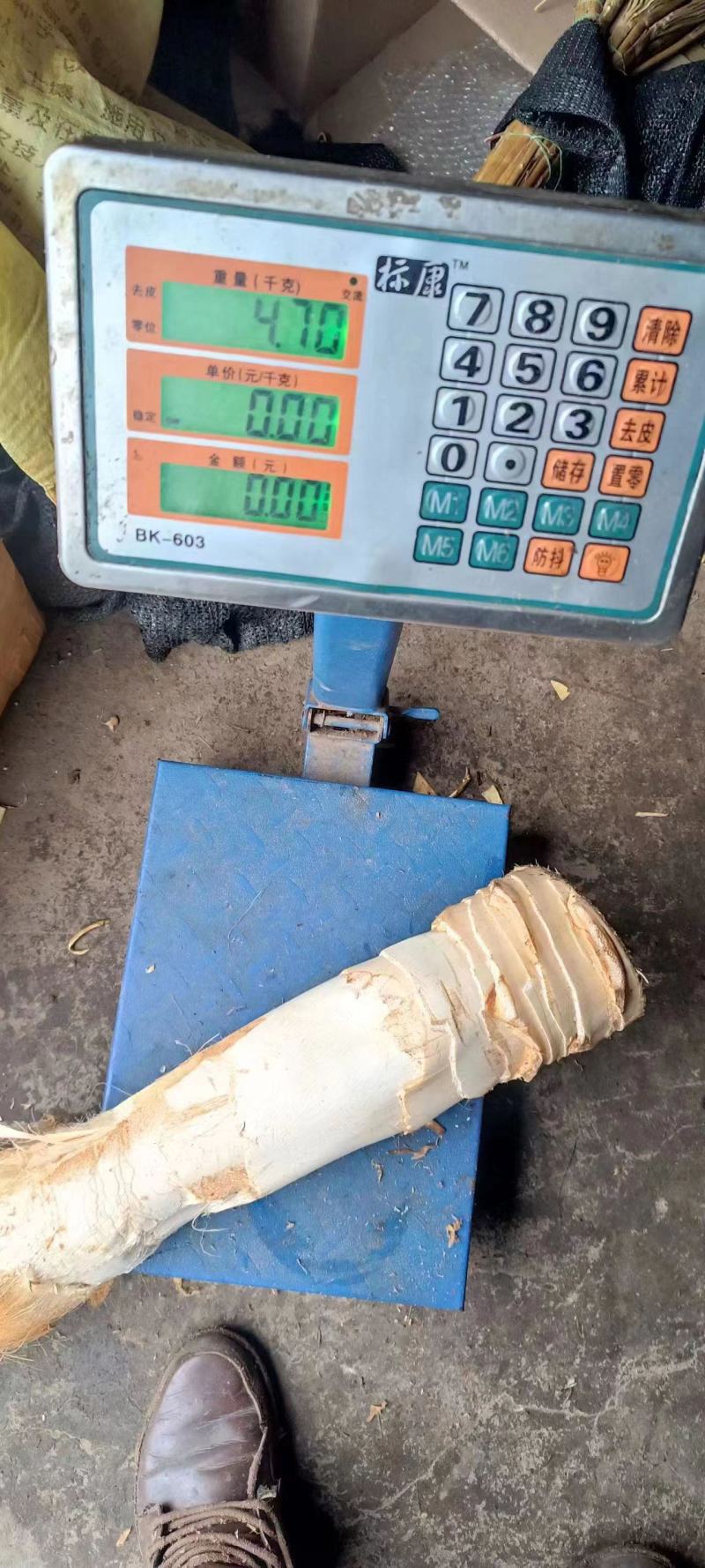【推荐】温州文成县棕包质量保证诚信经营棕笋棕心笋干