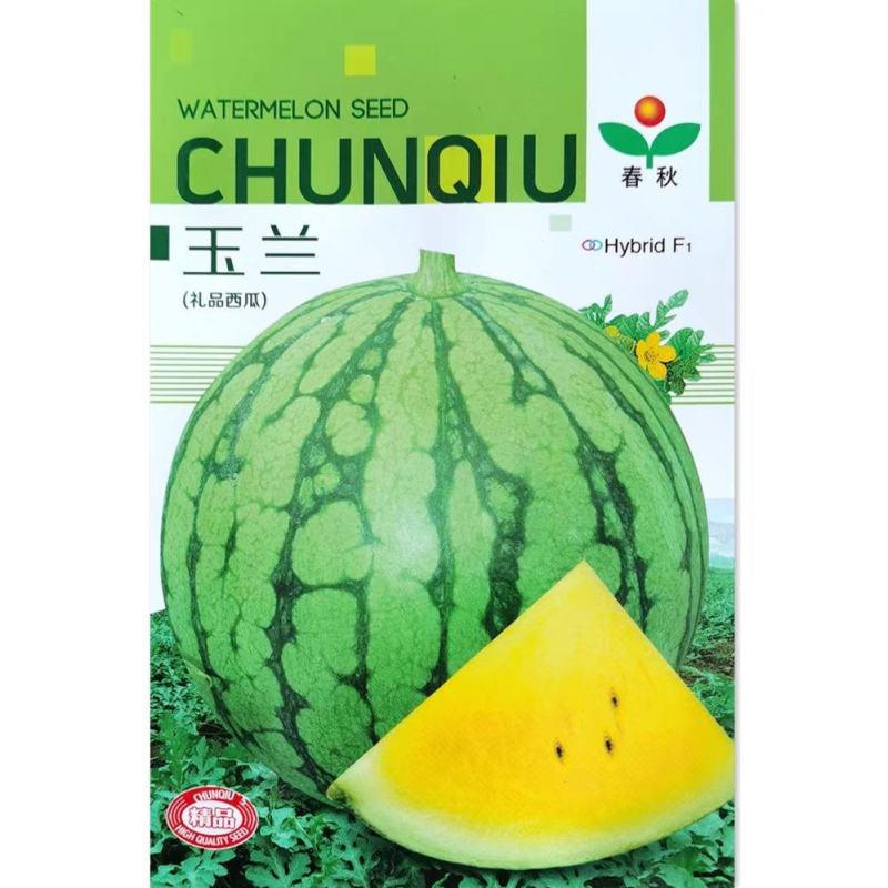 黄壤西瓜种子玉兰小西瓜种子小西瓜籽礼品西瓜籽耐裂甜早熟