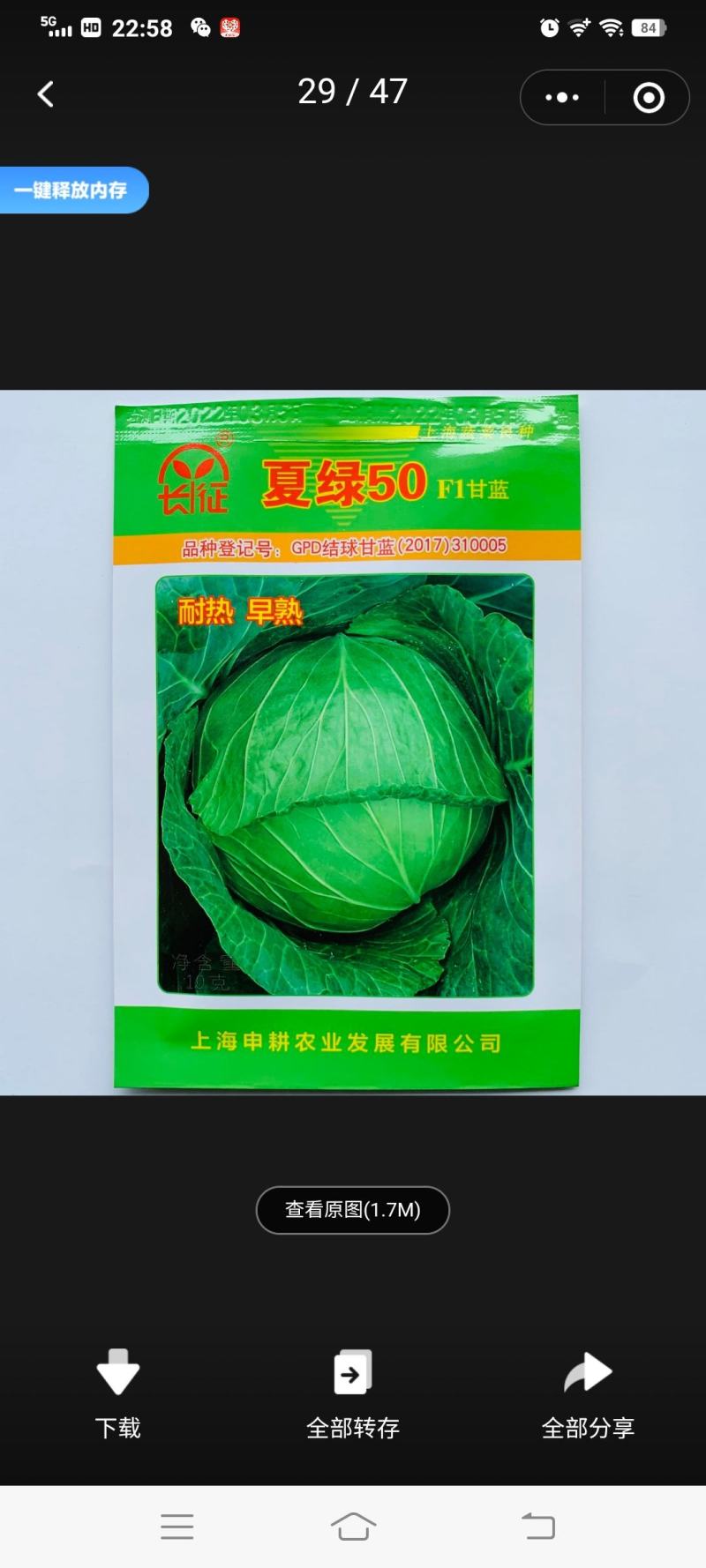 夏绿50甘蓝种子夏播耐热早熟抗高温扁圆型绿球耐裂包菜种