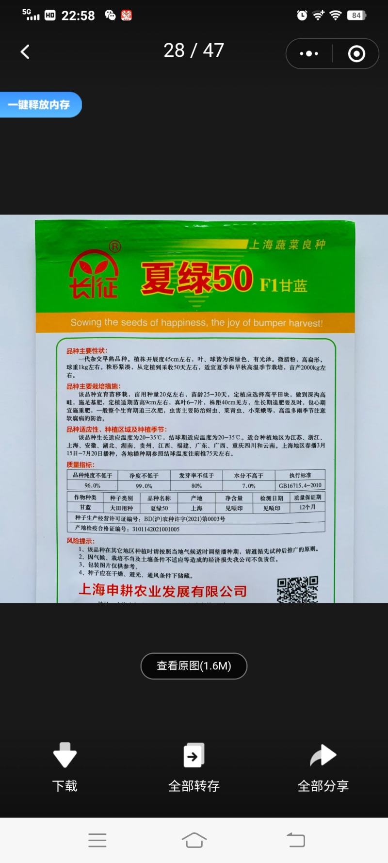 夏绿50甘蓝种子夏播耐热早熟抗高温扁圆型绿球耐裂包菜种