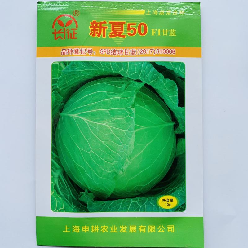 夏绿50甘蓝种子夏播耐热早熟抗高温扁圆型绿球耐裂包菜种