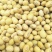 黄豆大豆可做豆腐豆制品国产河北邯郸粮油作物