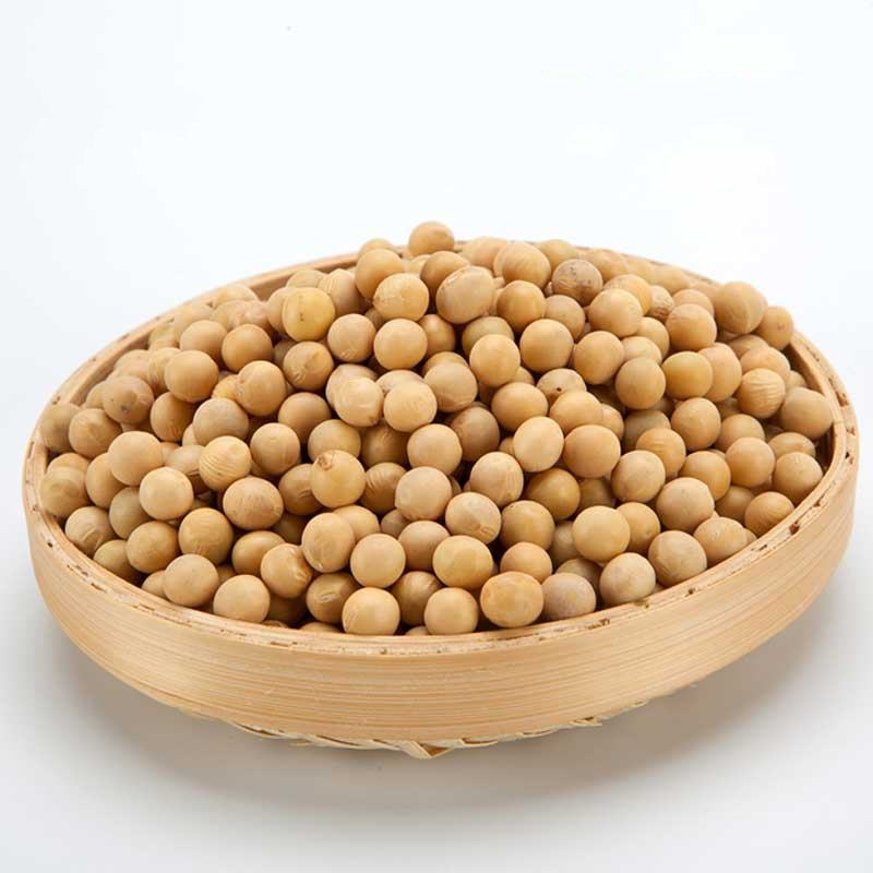 黄豆大豆可做豆腐豆制品国产河北邯郸粮油作物
