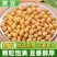 黄豆大豆可做豆腐豆制品国产河北邯郸粮油作物