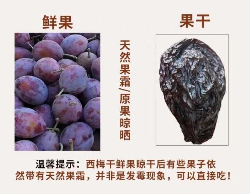 正宗新疆西梅干
