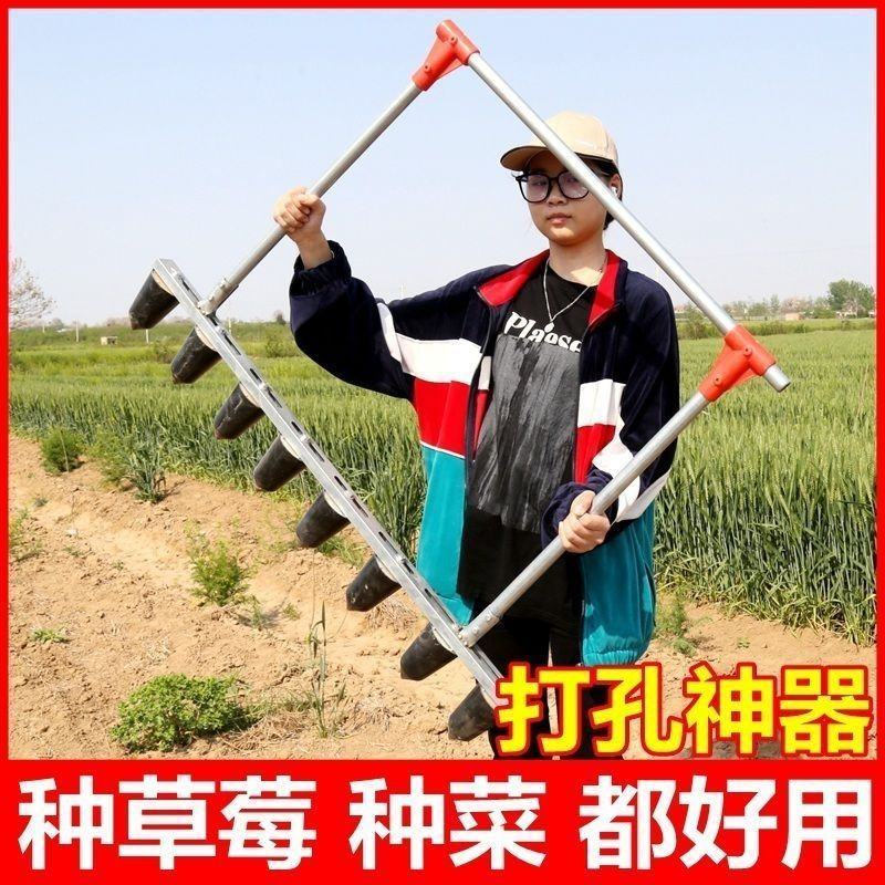 草莓打孔器压窝器栽苗挖洞打眼挖窝神器大棚种植打洞定植打穴