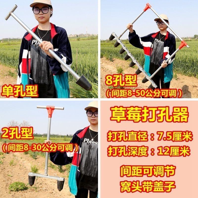草莓打孔器压窝器栽苗挖洞打眼挖窝神器大棚种植打洞定植打穴