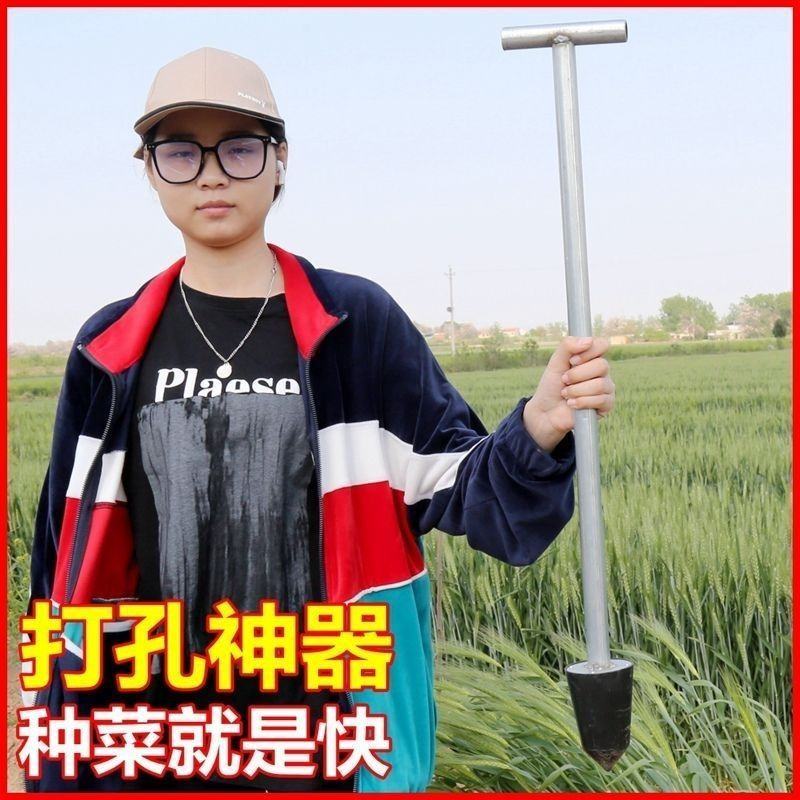 草莓打孔器压窝器栽苗挖洞打眼挖窝神器大棚种植打洞定植打穴