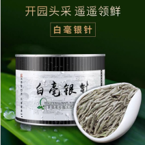白茶白毫银针2023年新茶春茶明前嫩芽高山白茶叶罐装