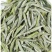 白茶白毫银针2023年新茶春茶明前嫩芽高山白茶叶罐装