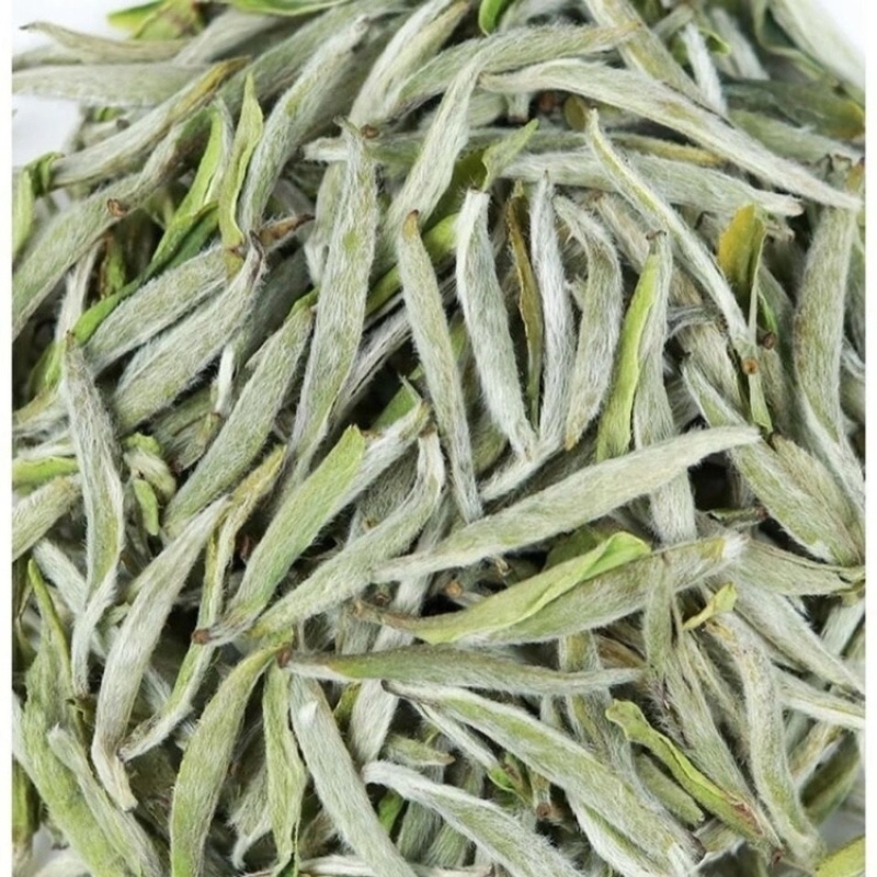 白茶白毫银针2023年新茶春茶明前嫩芽高山白茶叶罐装