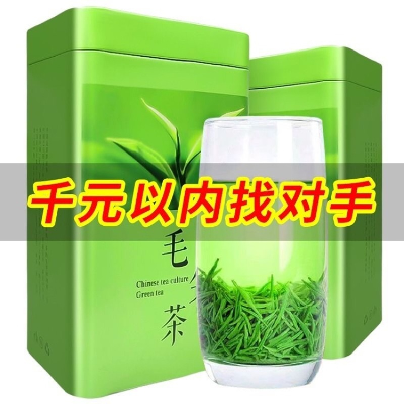 正宗嫩芽2023明前手工毛尖茶叶绿茶信阳新茶浓香耐泡炒青