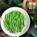 正宗嫩芽2023明前手工毛尖茶叶绿茶信阳新茶浓香耐泡炒青