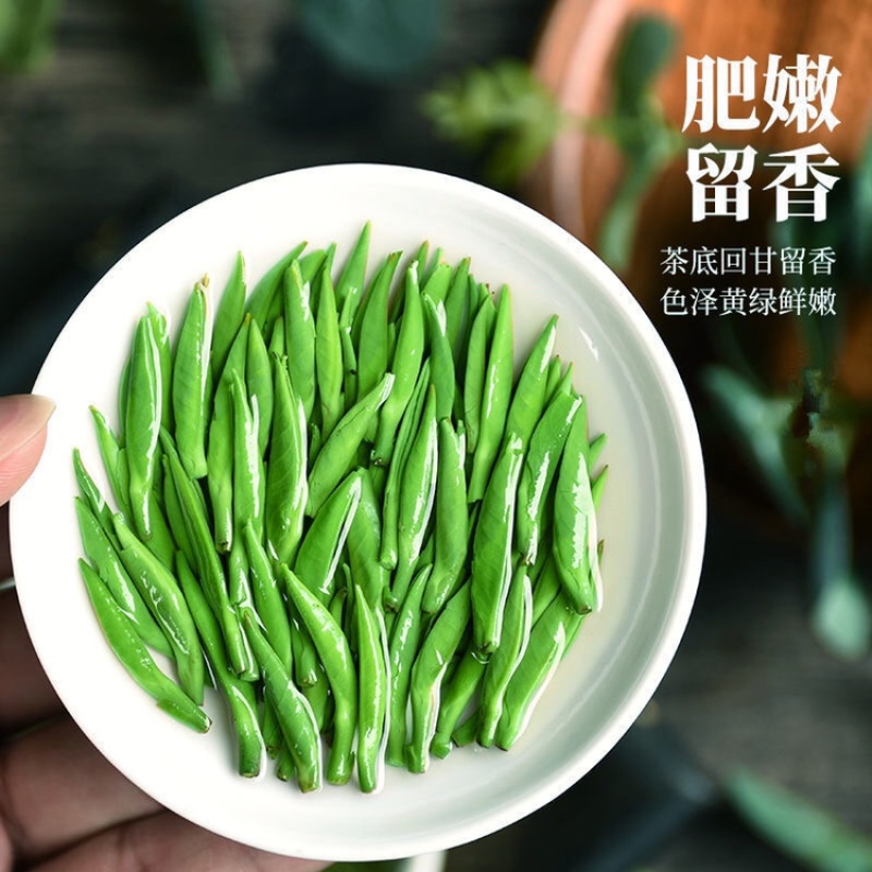 正宗嫩芽2023明前手工毛尖茶叶绿茶信阳新茶浓香耐泡炒青
