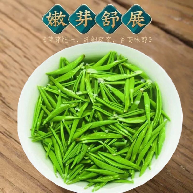 正宗嫩芽2023明前手工毛尖茶叶绿茶信阳新茶浓香耐泡炒青