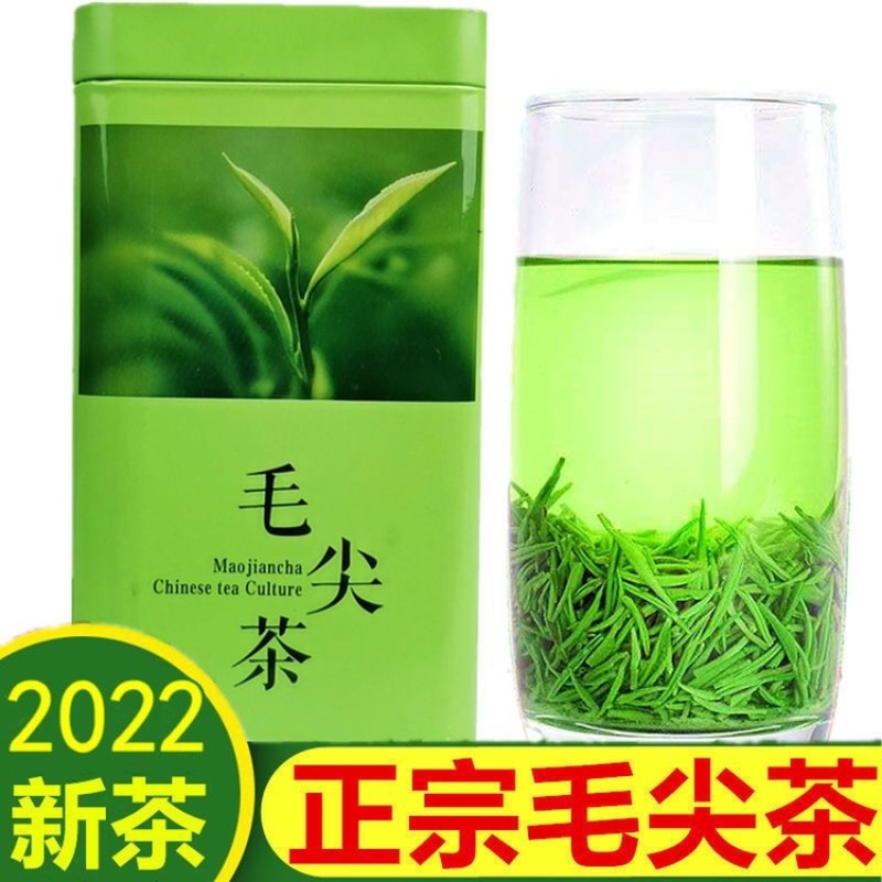正宗嫩芽2023明前手工毛尖茶叶绿茶信阳新茶浓香耐泡炒青