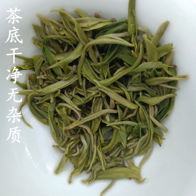 2023年清明前头采春茶新茶贵州都匀毛尖茶高山绿茶叶