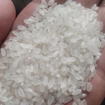 正宗东北大米珍珠米长粒米