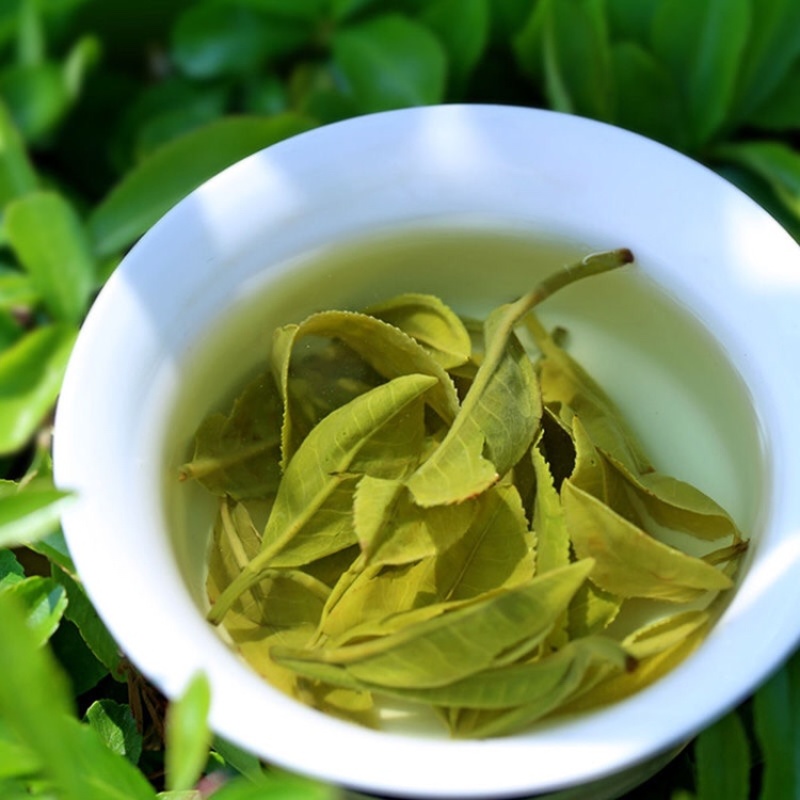 云南头春茶一级碧螺春绿茶春茶叶新明前浓香型散茶