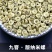 九窨茉莉玉螺王浓香茉莉花茶纳米螺2023新茶叶龙珠
