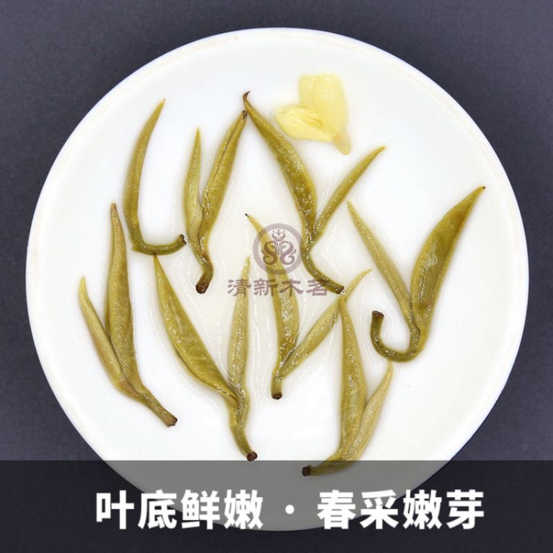 九窨茉莉玉螺王浓香茉莉花茶纳米螺2023新茶叶龙珠