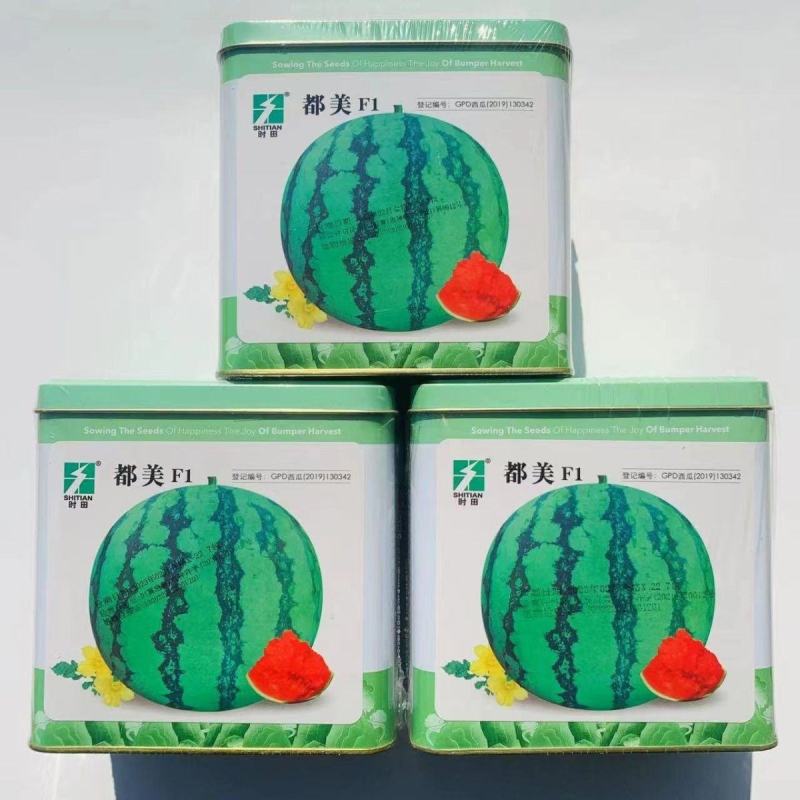 罐装700粒西瓜种子神禾都美中早熟耐贮运正品适应性广薄皮