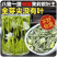 茉莉花茶2023新茶正宗广西横县茉莉银针王嫩芽浓香型