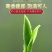 茉莉花茶2023新茶正宗广西横县茉莉银针王嫩芽浓香型