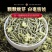 茉莉花茶2023新茶正宗广西横县茉莉银针王嫩芽浓香型