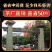 茉莉花茶2023新茶正宗广西横县茉莉银针王嫩芽浓香型