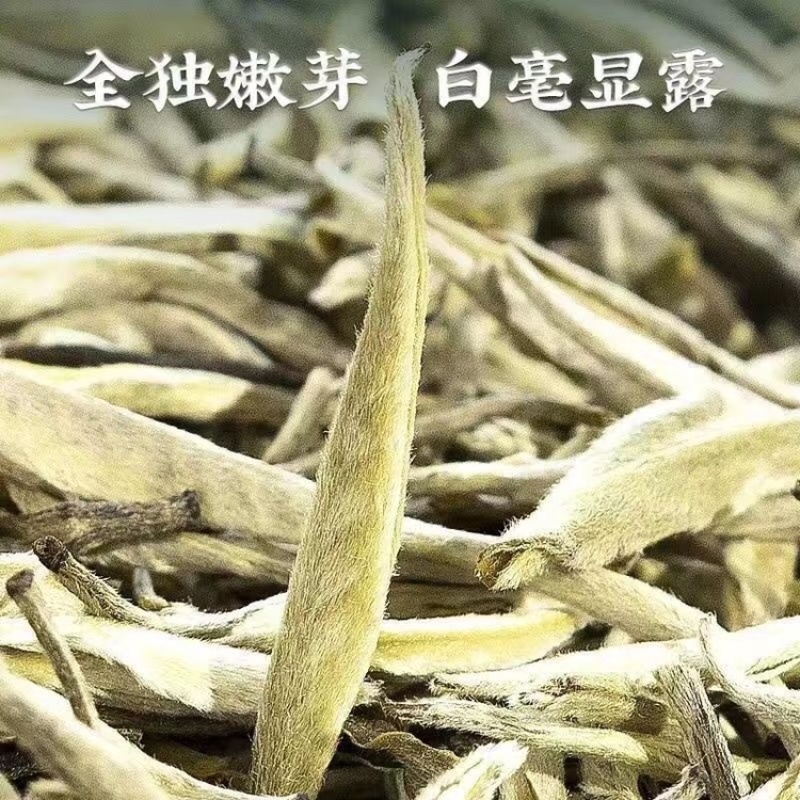 茉莉花茶2023新茶正宗广西横县茉莉银针王嫩芽浓香型