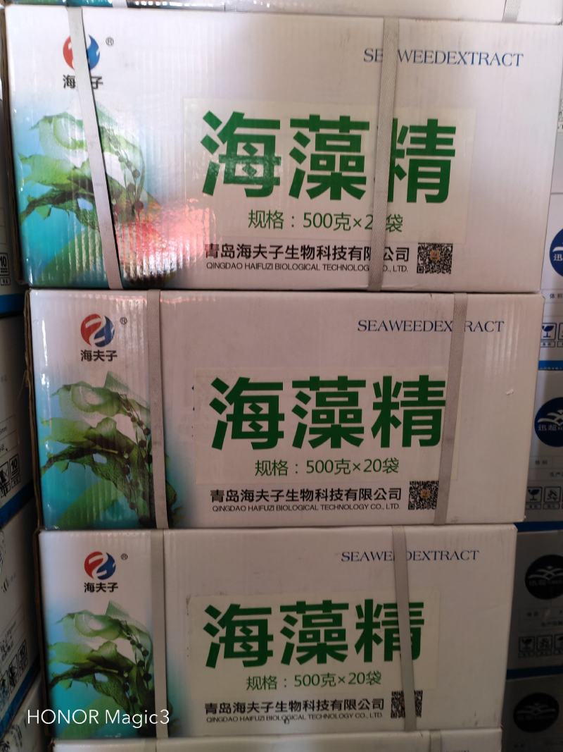 海夫子~海藻精.粉剂（海藻酸22%）保花保果解肥害药害