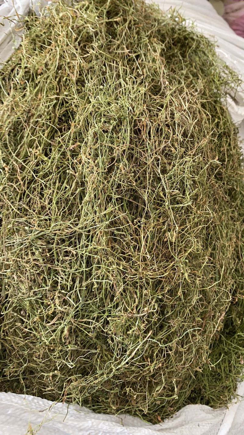 半边莲产地直销批发。量大从优符合国家标准