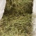半边莲产地直销批发。量大从优符合国家标准
