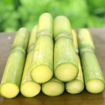 新鲜青皮甘蔗农家应季时令特产绿皮水果青皮甘蔗整箱包邮