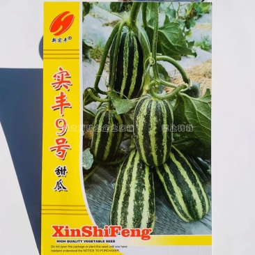 实丰9号甜瓜种子绿白花皮酥脆蜜甜甜瓜种籽抗病杂交一代种