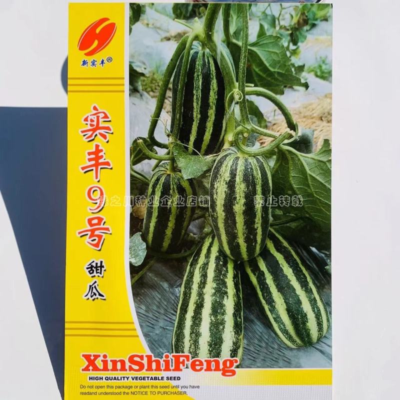 实丰9号甜瓜种子绿白花皮酥脆蜜甜甜瓜种籽抗病杂交一代种